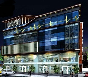 legend-gold-leaf Featured Image