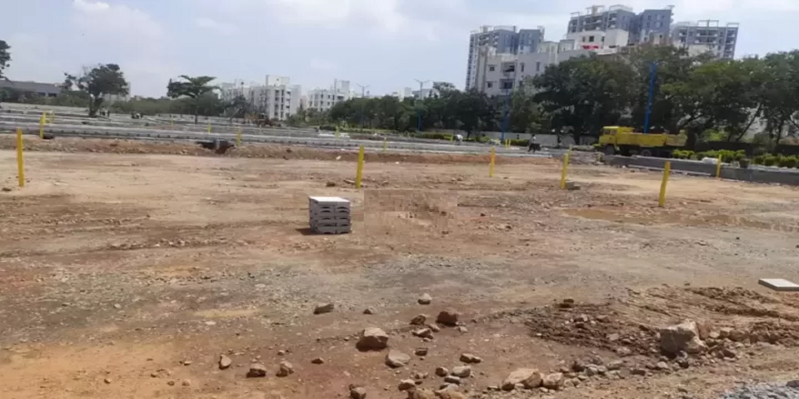 tvh-bloom Featured Image