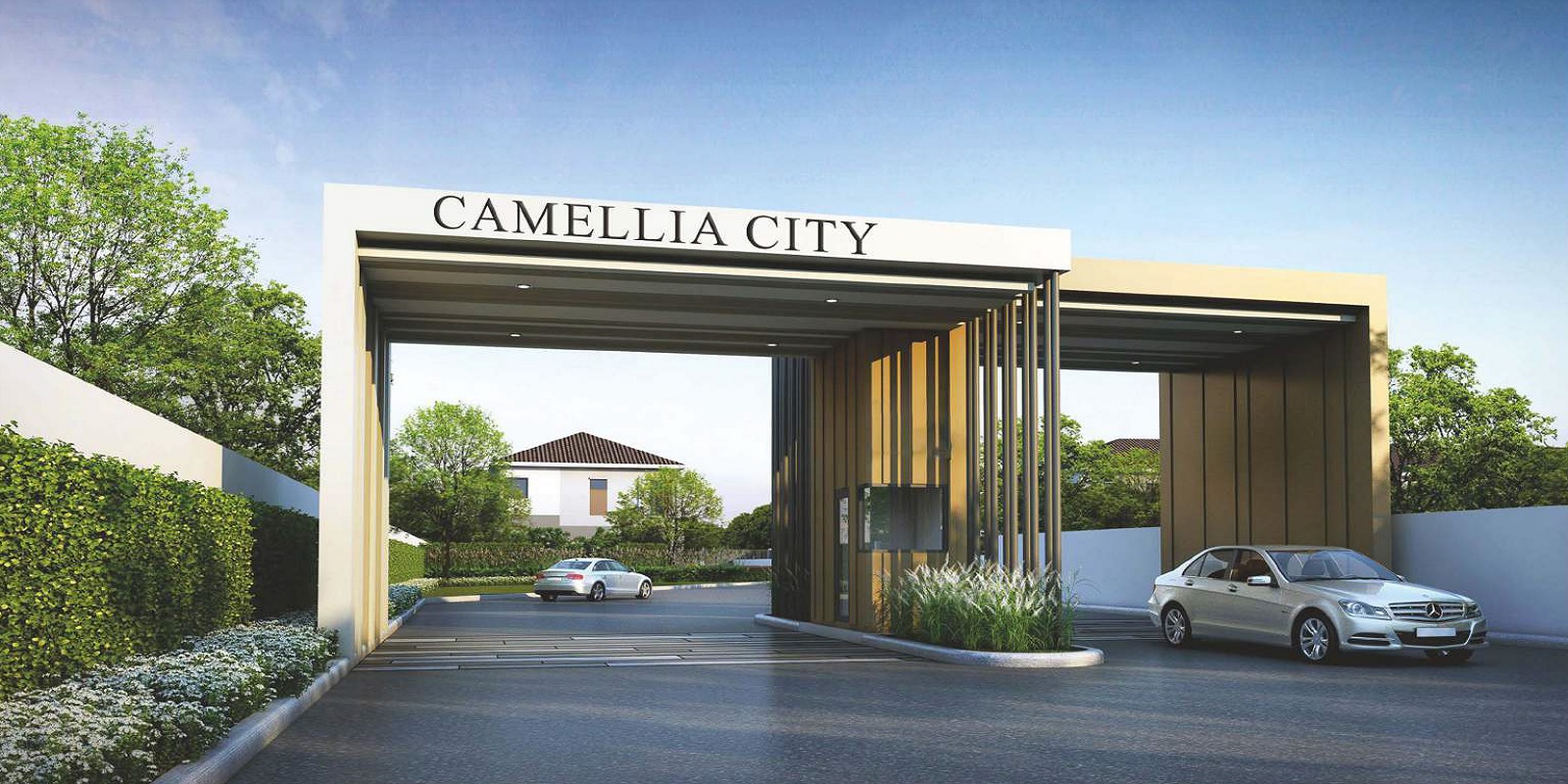 camellia-city Featured Image