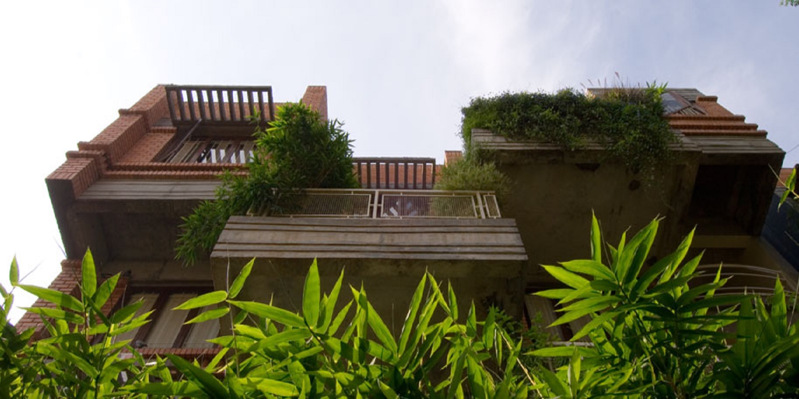 Total Environment Freebird Featured Image