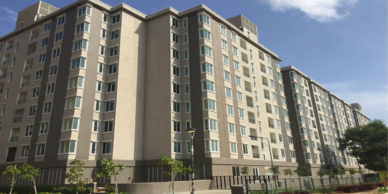 Brigade Orchards Cedar Featured Image