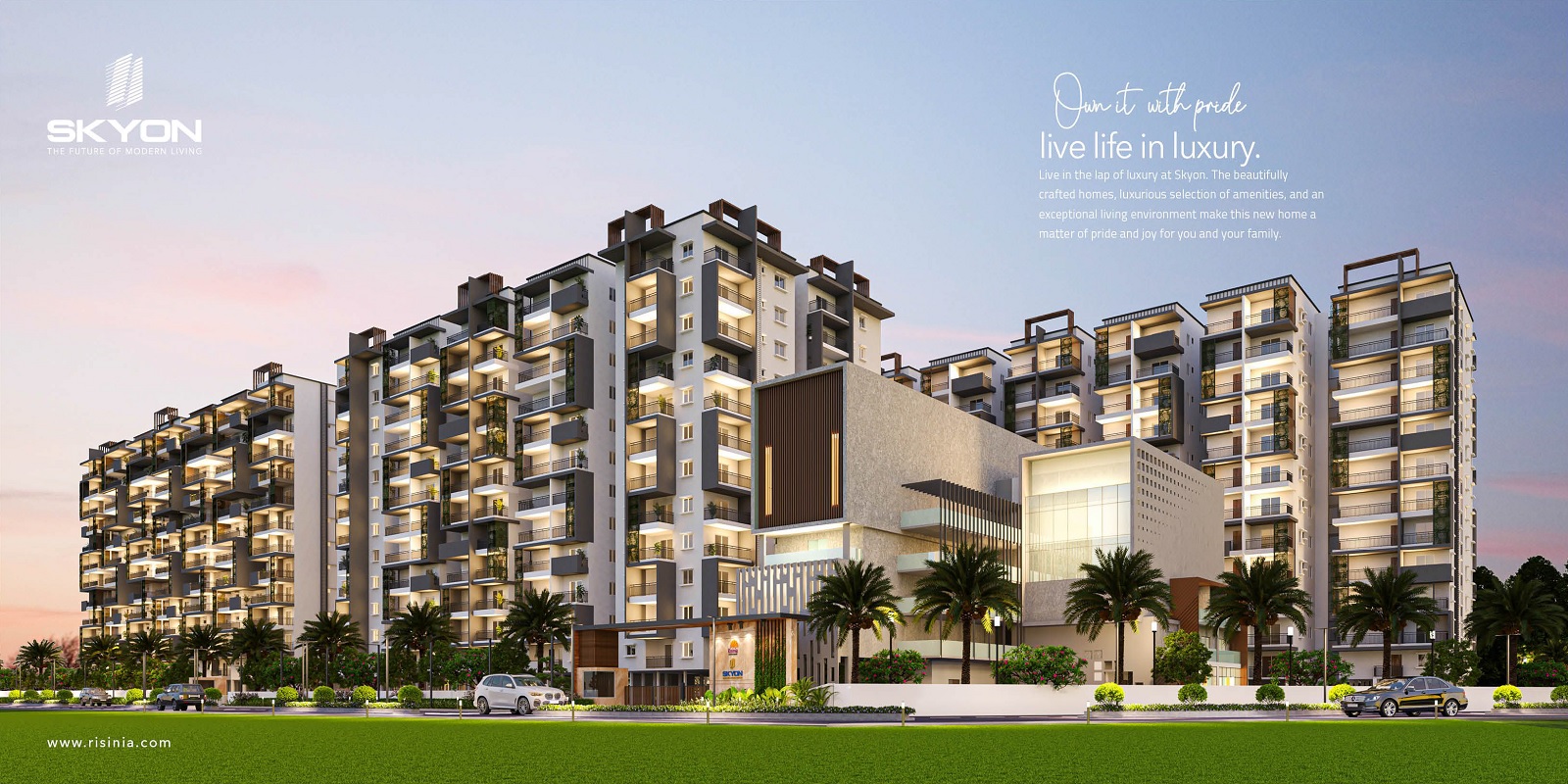 risinia-skyon Featured Image