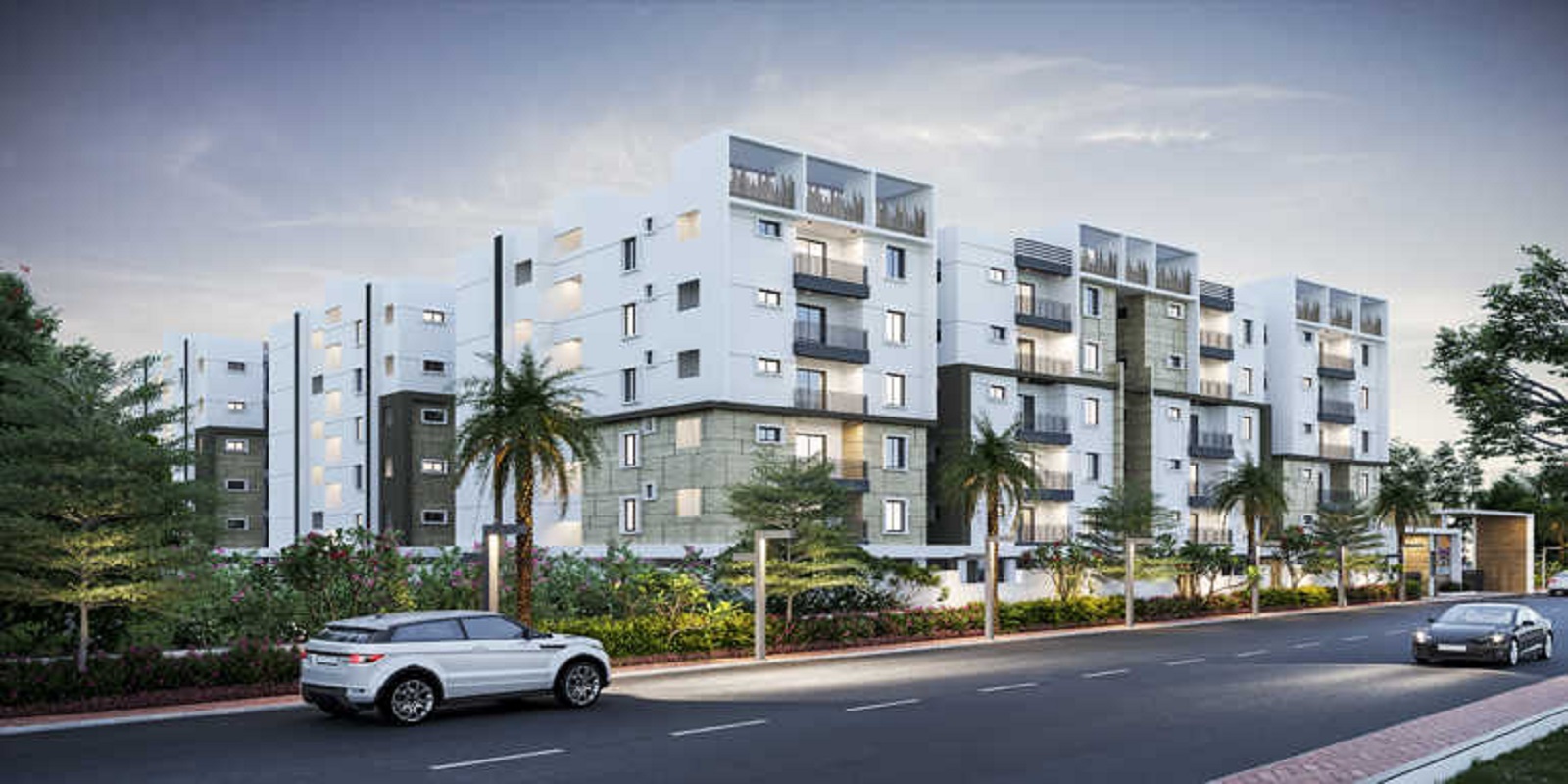 risinia-oyster Featured Image