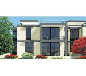 Applewood Santolina Featured Image