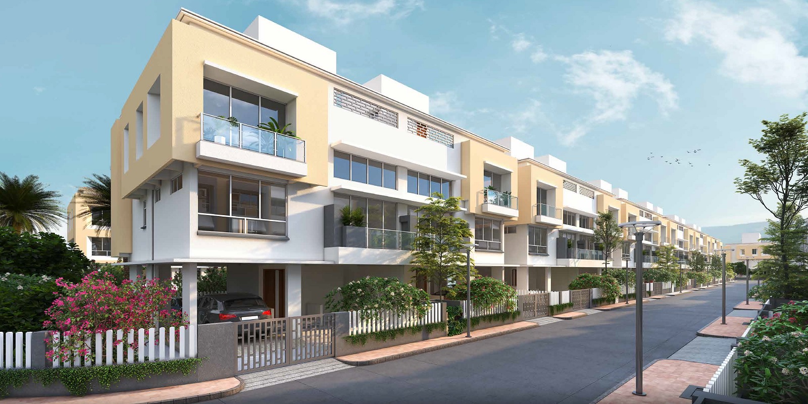 wadhwa-magnolia Featured Image