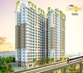 Purva Sunflower Featured Image