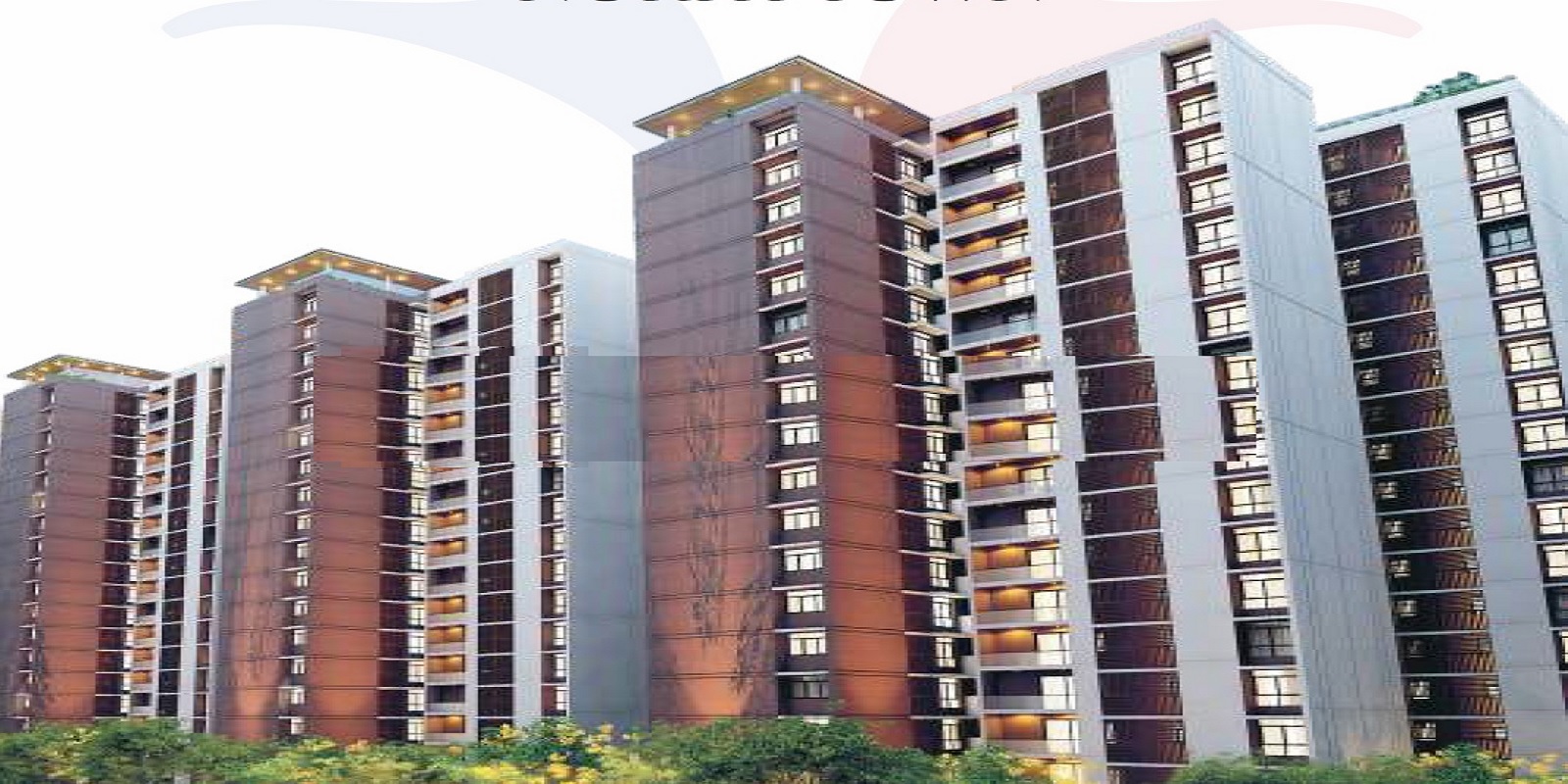 rainbow-chetna Featured Image