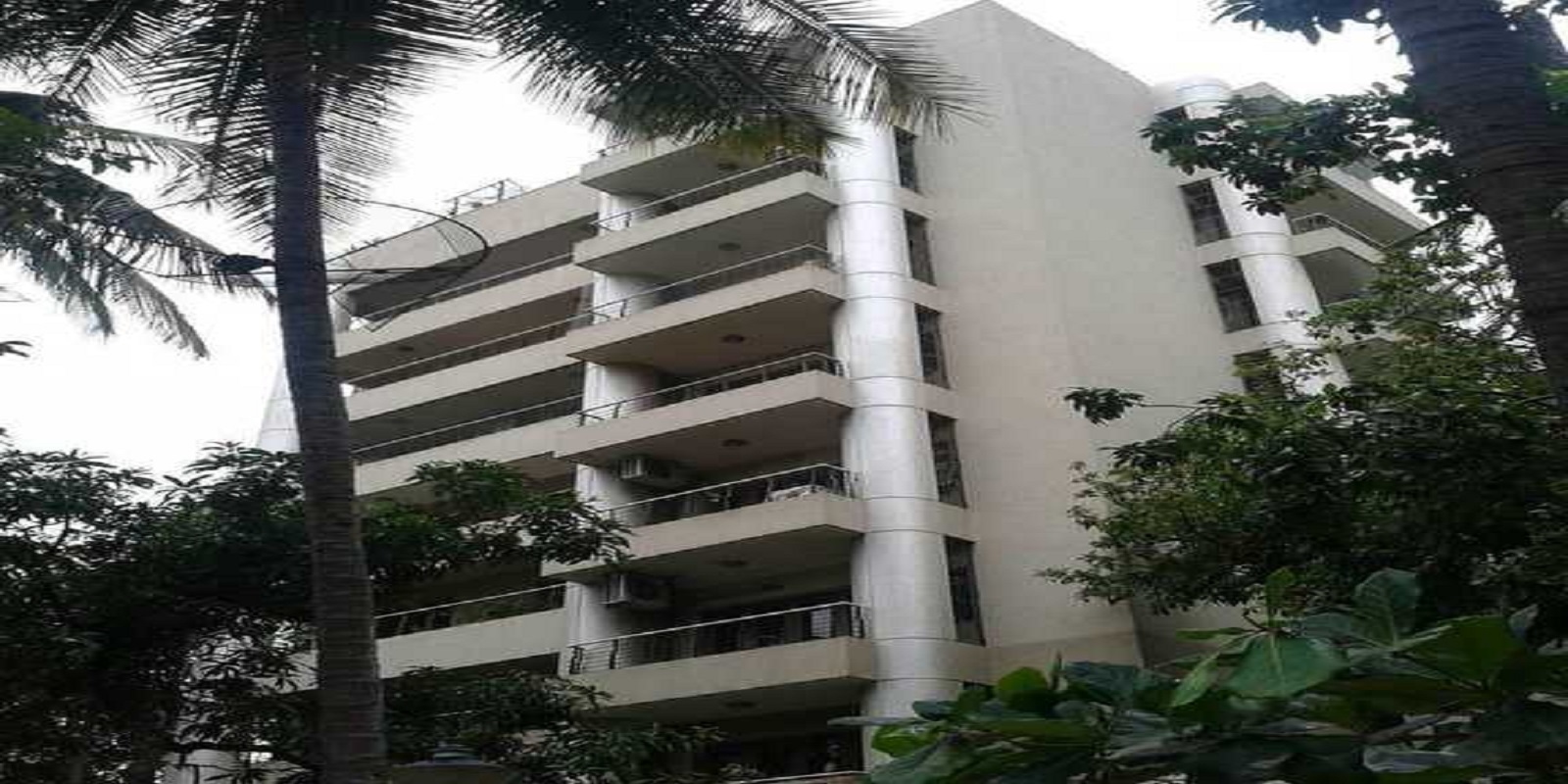 Embassy Orchid Featured Image